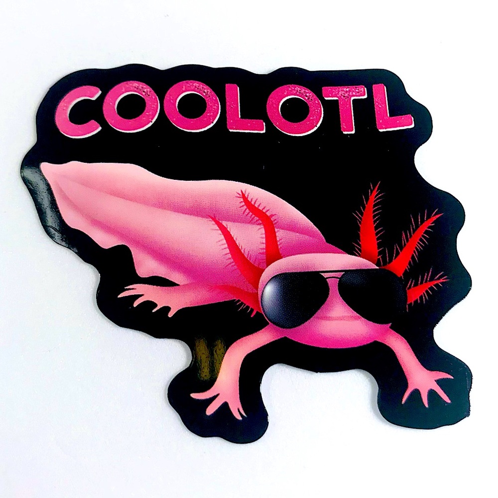 Cool Axolotl Crazy Trending WaterProof Single Decor Accent Sticker